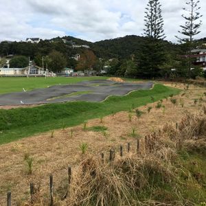 Paihia Bump Track 